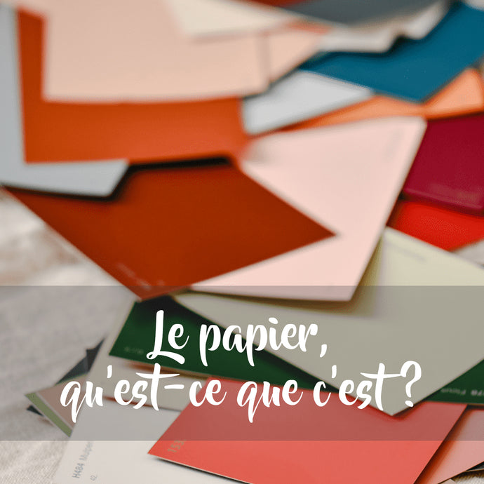 Siméon - Papillons déco en papier - Kits DIY fabriqués à Paris –  PliPapierCiseaux