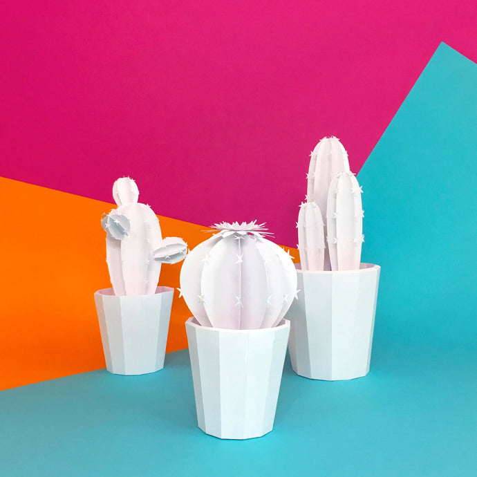 Kit cactus blanc en papier PliPapierCiseaux - idée d'atelier d'anniversaire